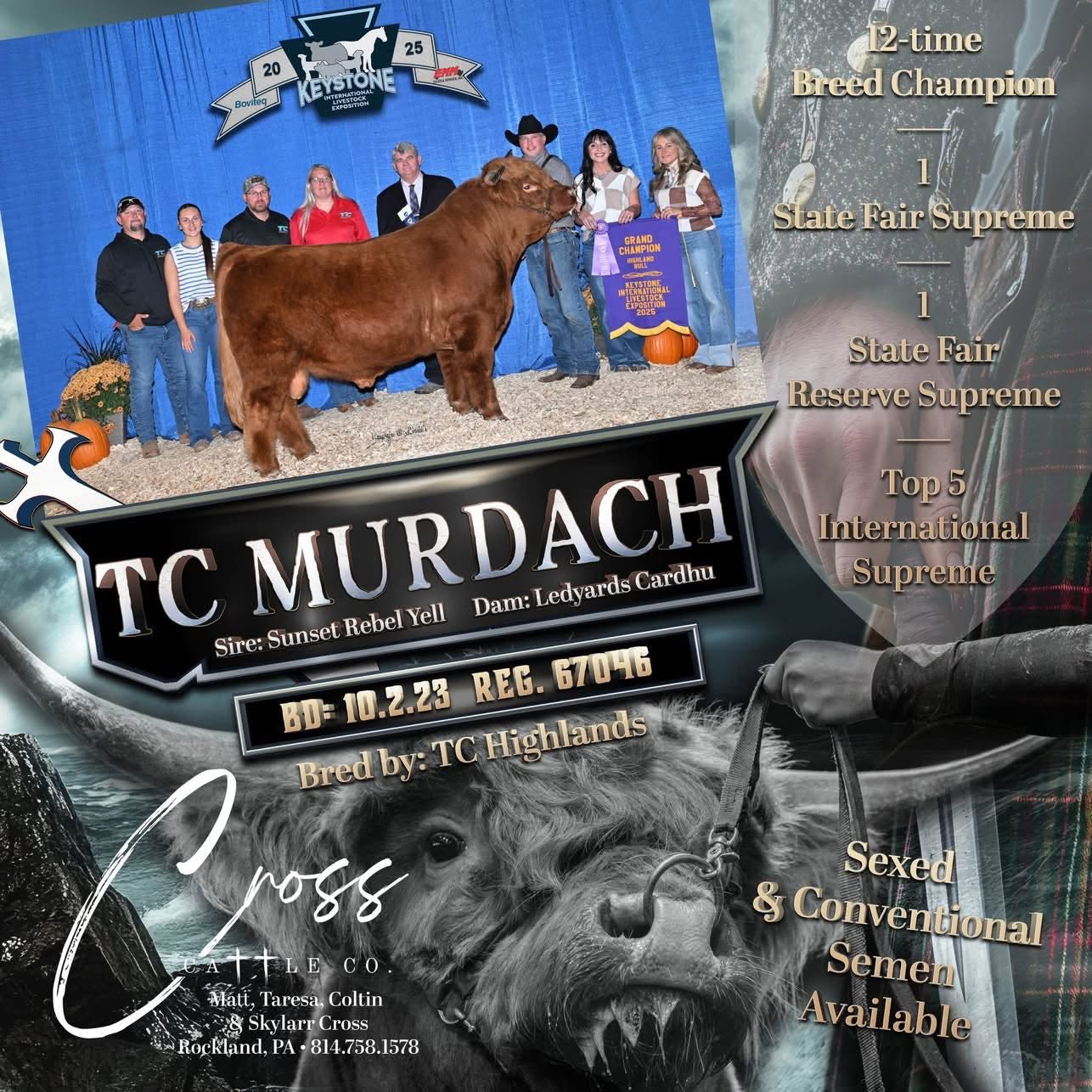 TC Murdach