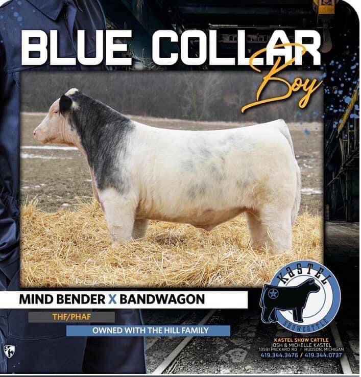 Blue Collar Boy