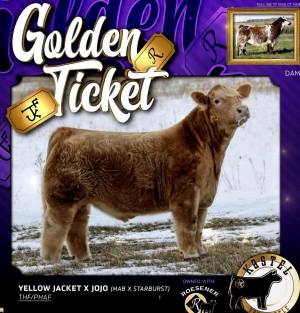 Golden Ticket