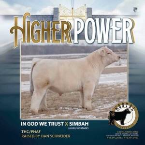 Higher Power