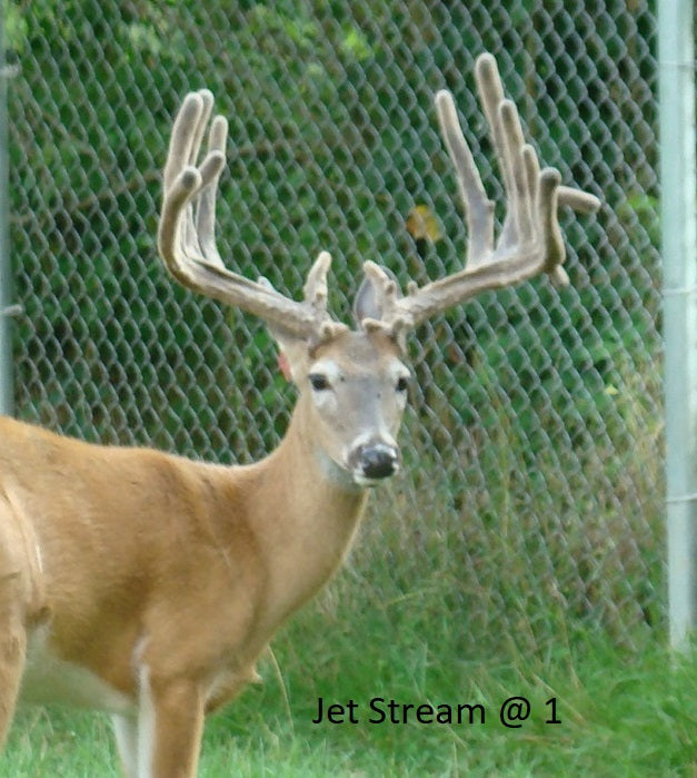 Jet Stream