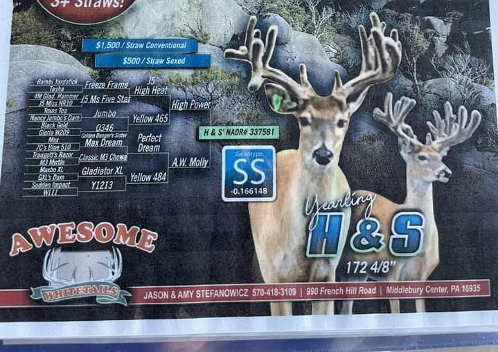 H & S