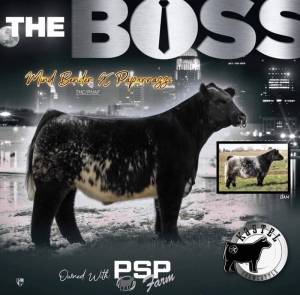 The Boss