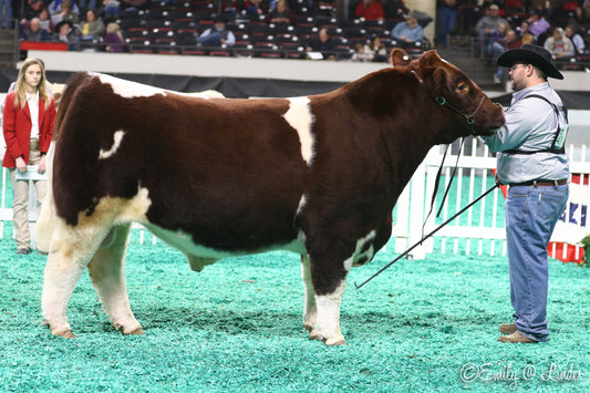 VCC Ain't No Foolin' 1701 ET