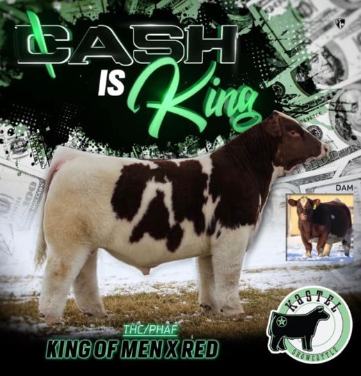 JFK Cash is King