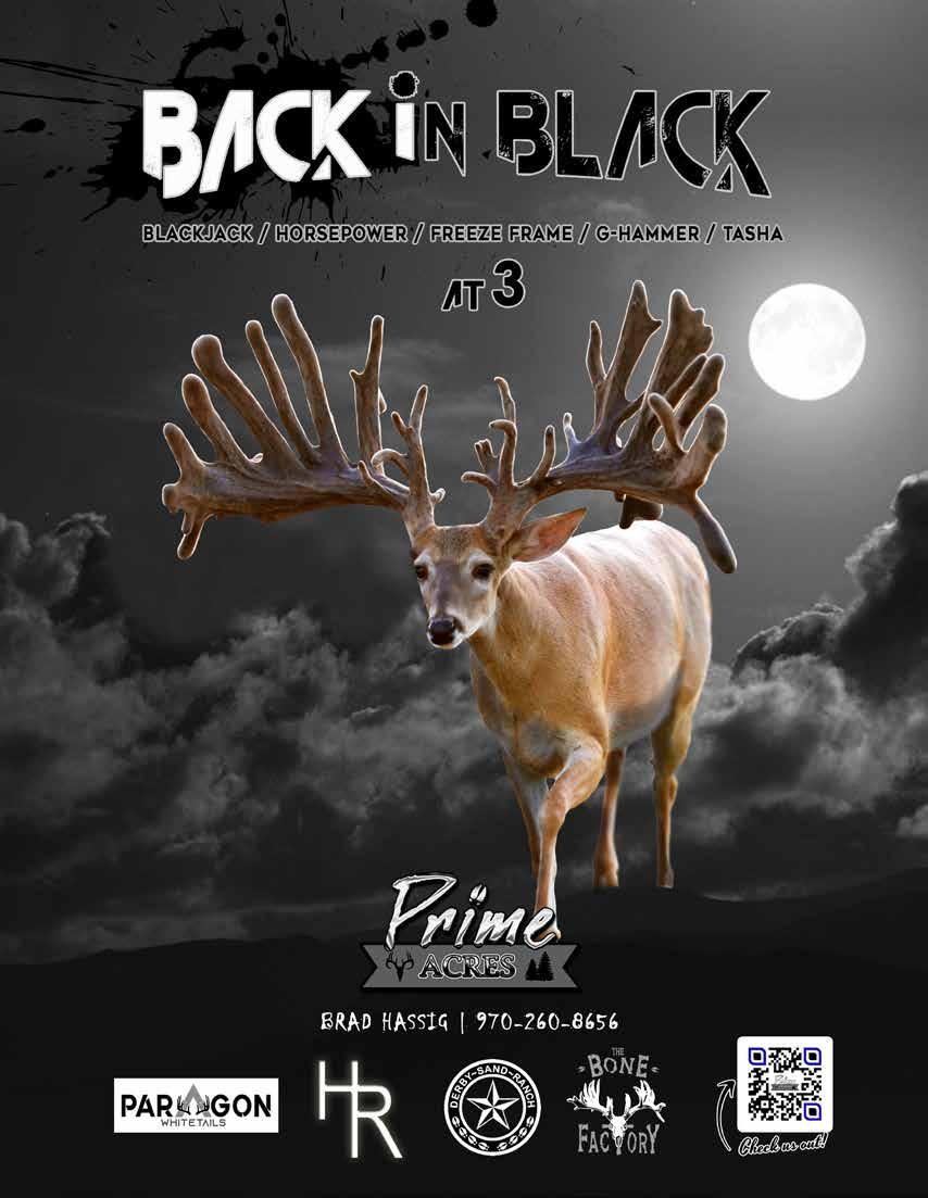 Embryo- Back in Black/MVP Major League/John Shadow/Big Rig