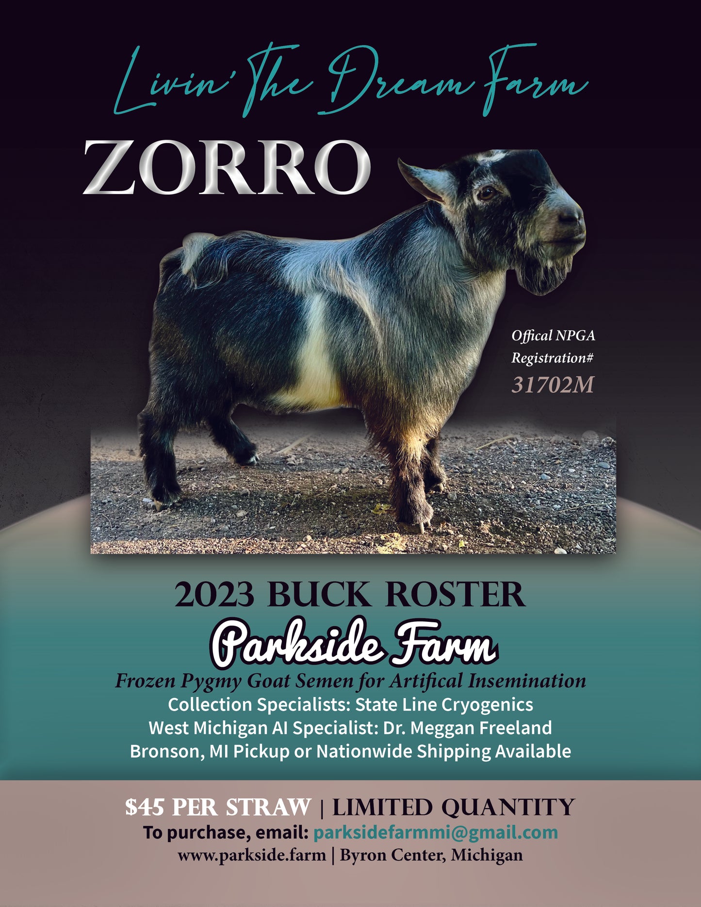LIVIN' THE DREAM FARM ZORRO