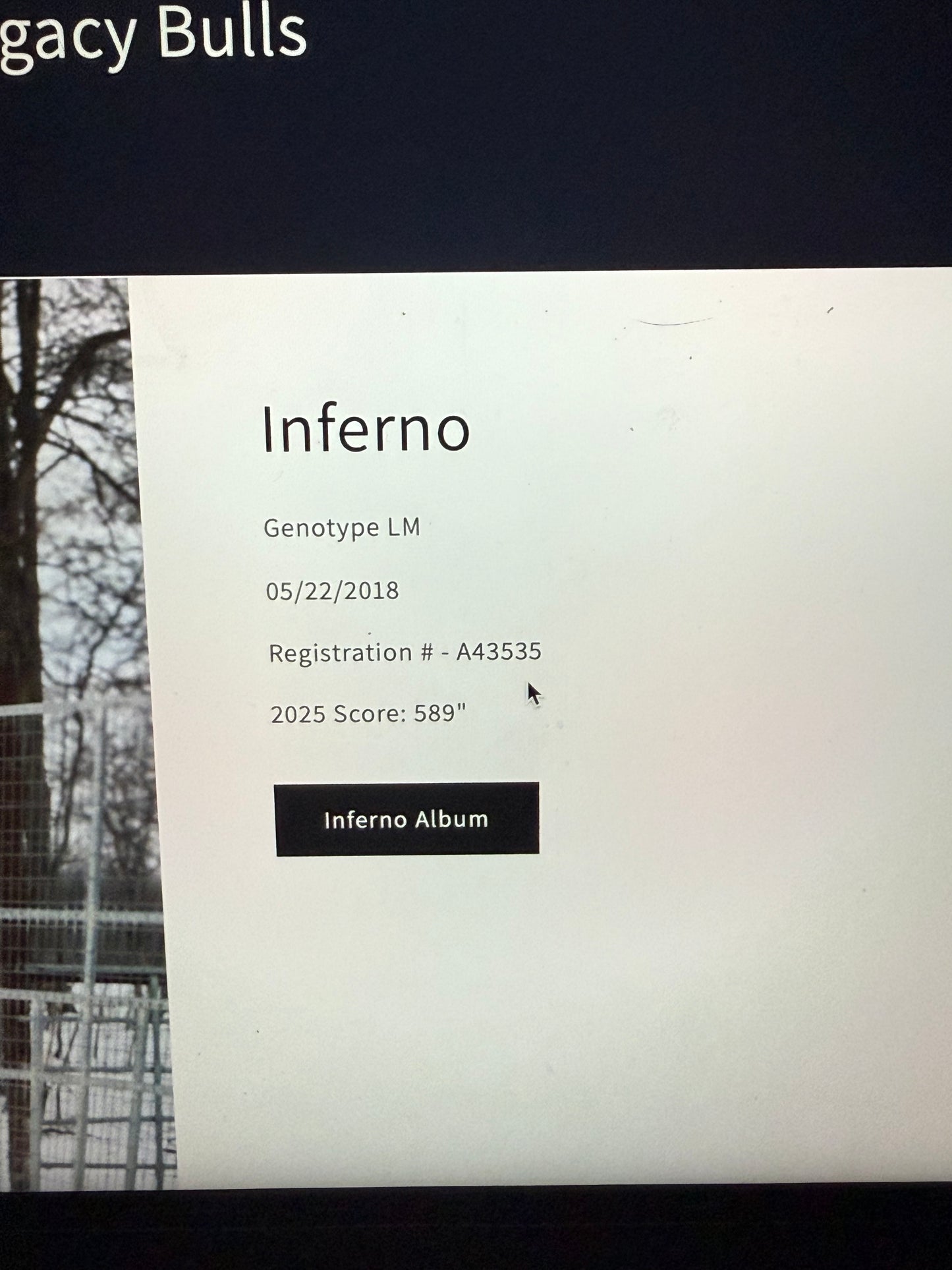 Inferno