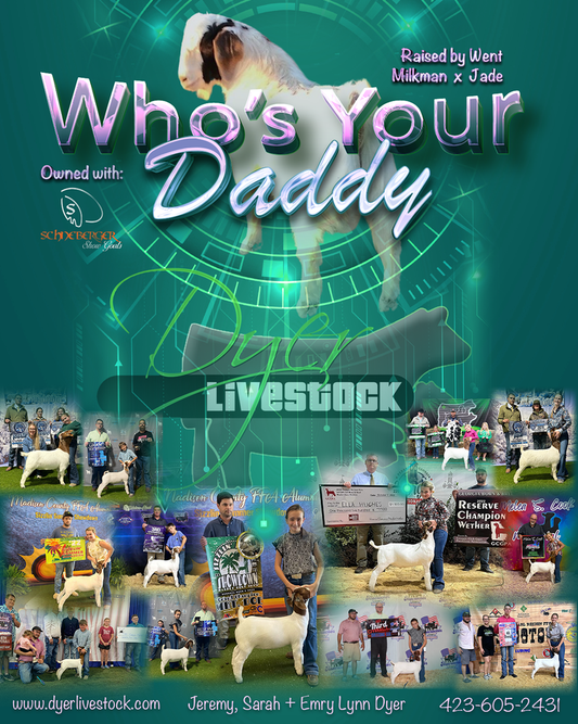 Who's Your Daddy