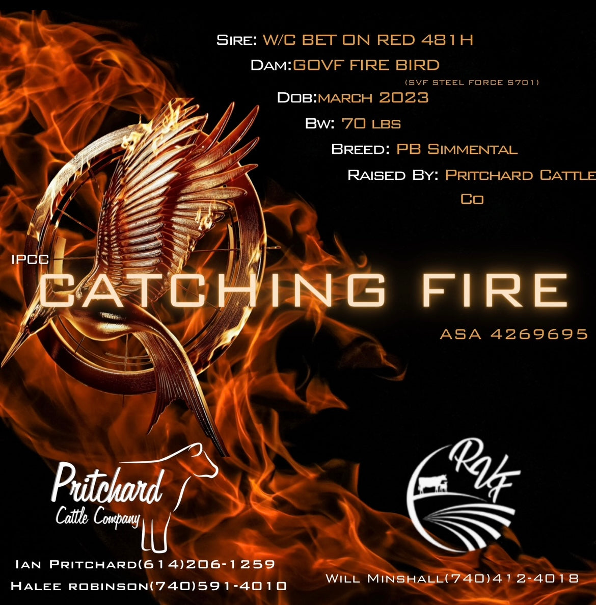 IPCC Catching Fire